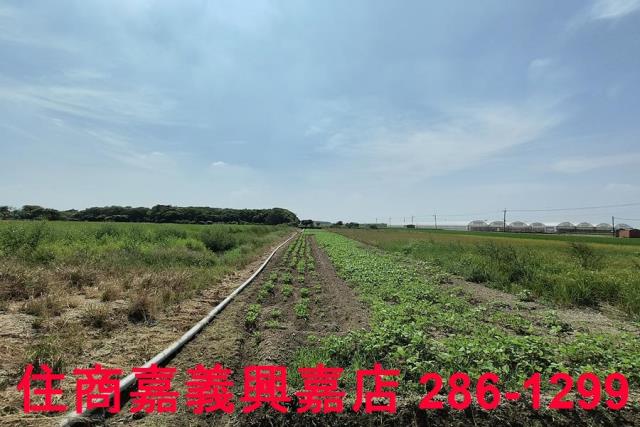 太保農地-6