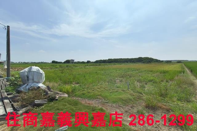 太保農地-8
