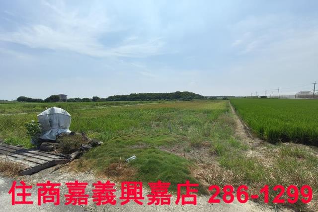 太保農地-9