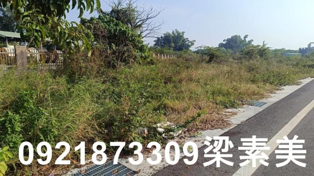 仁德工業地-4