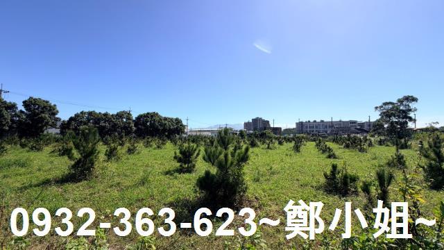 平鎮農地-4