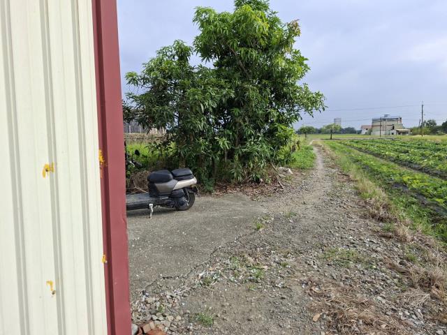 民雄農地-8