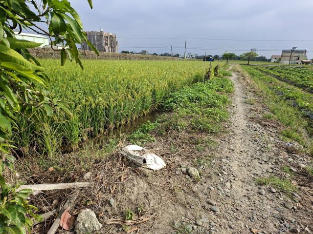 民雄農地-6