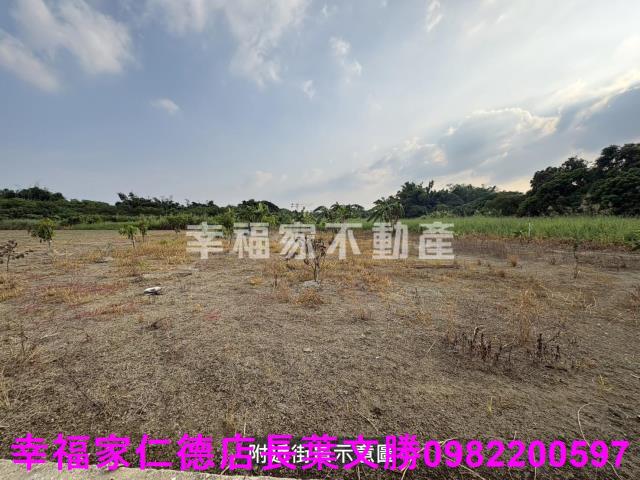 新市農地-2