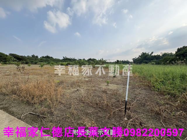 新市農地-3
