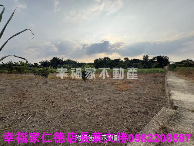 新市農地-6